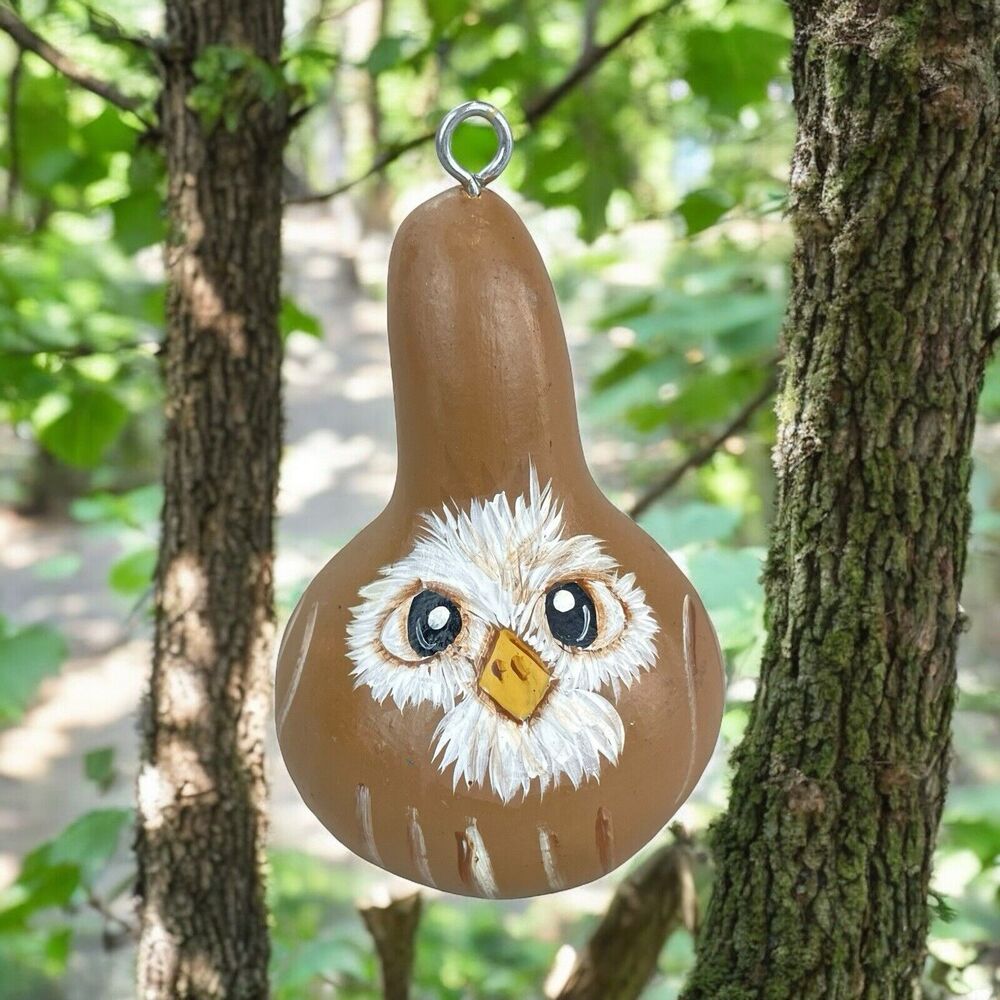 Hand Painted Owl Gourd Ornament Signed 4.25 Inches Tall Rattle Dried Gourd Decor